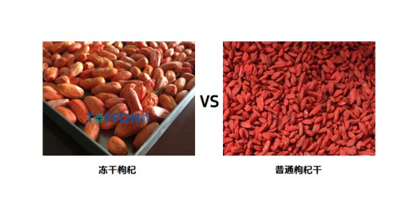 冻干宁夏枸杞，保留营养和鲜红