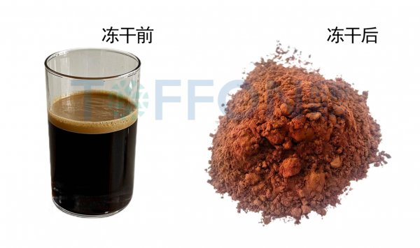 一条冻干咖啡生产线的价格是怎么样的？