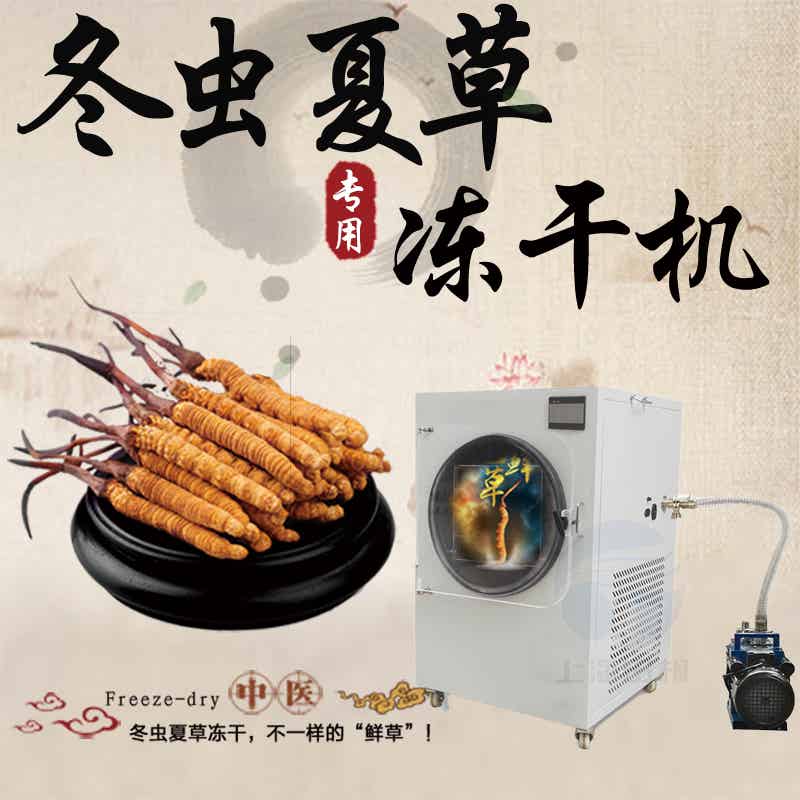 虫草冻干机-虫草冷冻干燥机-食品冻干机-虫草冷冻式干燥机-上海拓纷制冷冻干机设备厂