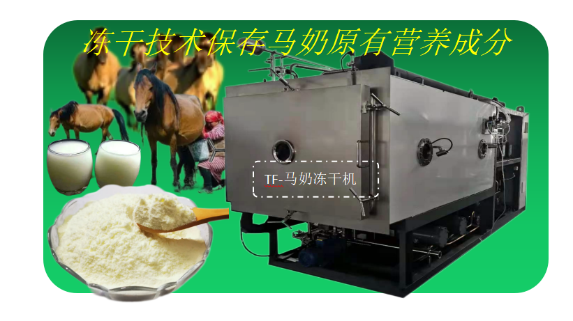 图片173..png