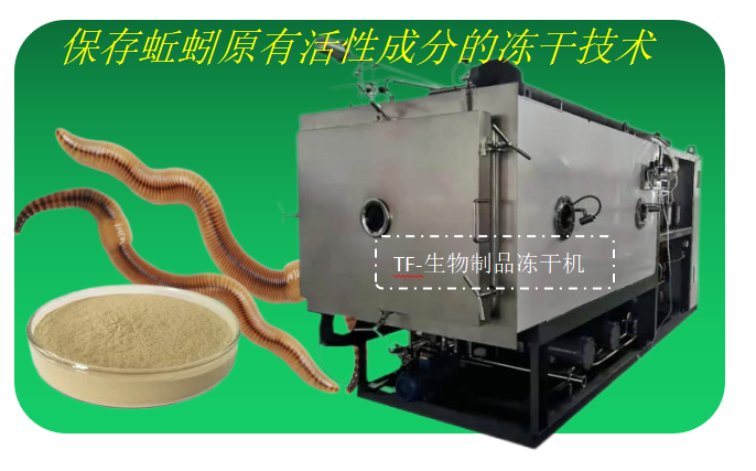 图片202.1.png