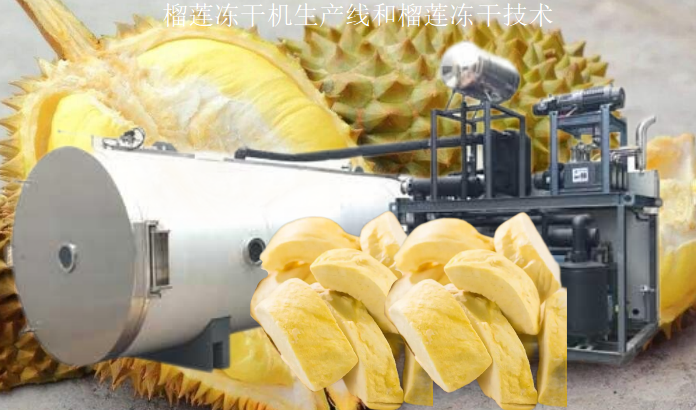 冷冻干燥机|冻干机|真空冷冻干燥机|大型冷冻干燥机|食品冻干机|制药真空冷冻干燥机|食品冻干设备|制药冷冻干燥机