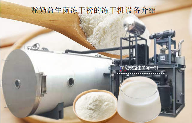 冷冻干燥机|冻干机|真空冷冻干燥机|大型冷冻干燥机|食品冻干机|制药真空冷冻干燥机|食品冻干设备|制药冷冻干燥机