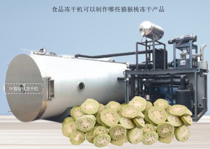 冷冻干燥机|冻干机|真空冷冻干燥机|大型冷冻干燥机|食品冻干机|制药真空冷冻干燥机|食品冻干设备|制药冷冻干燥机
