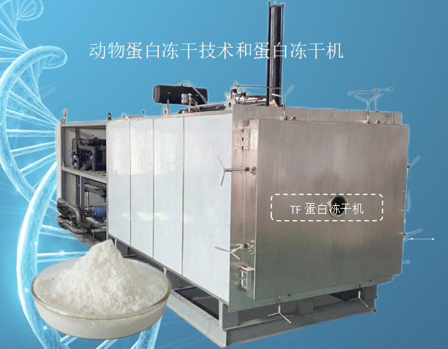 冷冻干燥机|冻干机|真空冷冻干燥机|大型冷冻干燥机|食品冻干机|制药真空冷冻干燥机|食品冻干设备|制药冷冻干燥机
