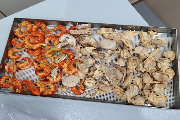 海鲜冻干：小型家用冻干机应用案例及优势