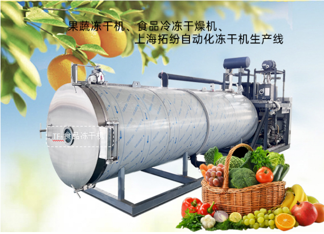 冷冻干燥机|冻干机|真空冷冻干燥机|大型冷冻干燥机|食品冻干机|制药真空冷冻干燥机|食品冻干设备|制药冷冻干燥机