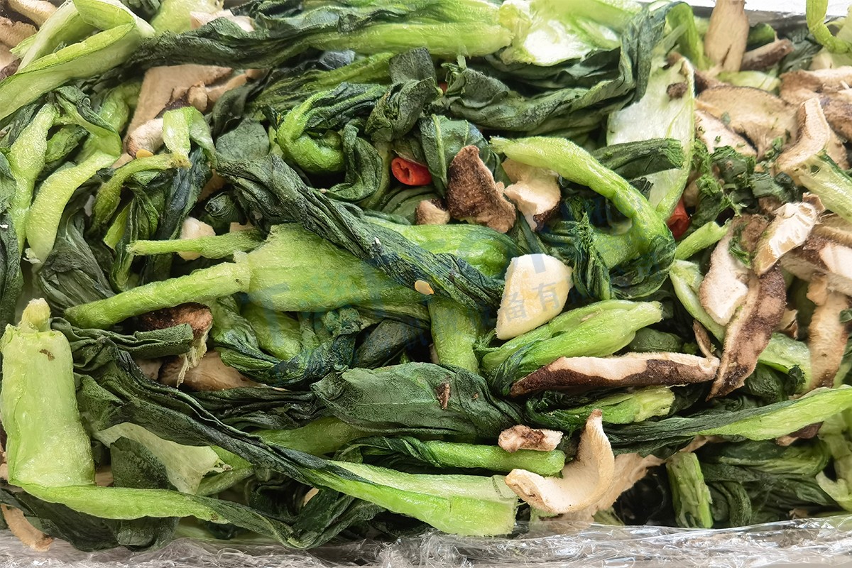 冷冻干燥机|冻干机|真空冷冻干燥机|大型冷冻干燥机|食品冻干机|制药真空冷冻干燥机|食品冻干设备|制药冷冻干燥机