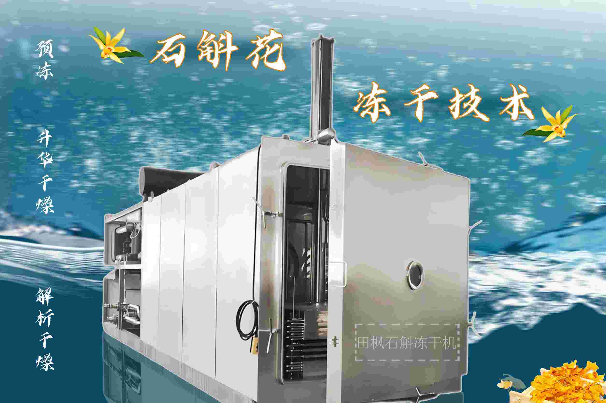 冻干机在药物制剂中的应用案例有哪些？