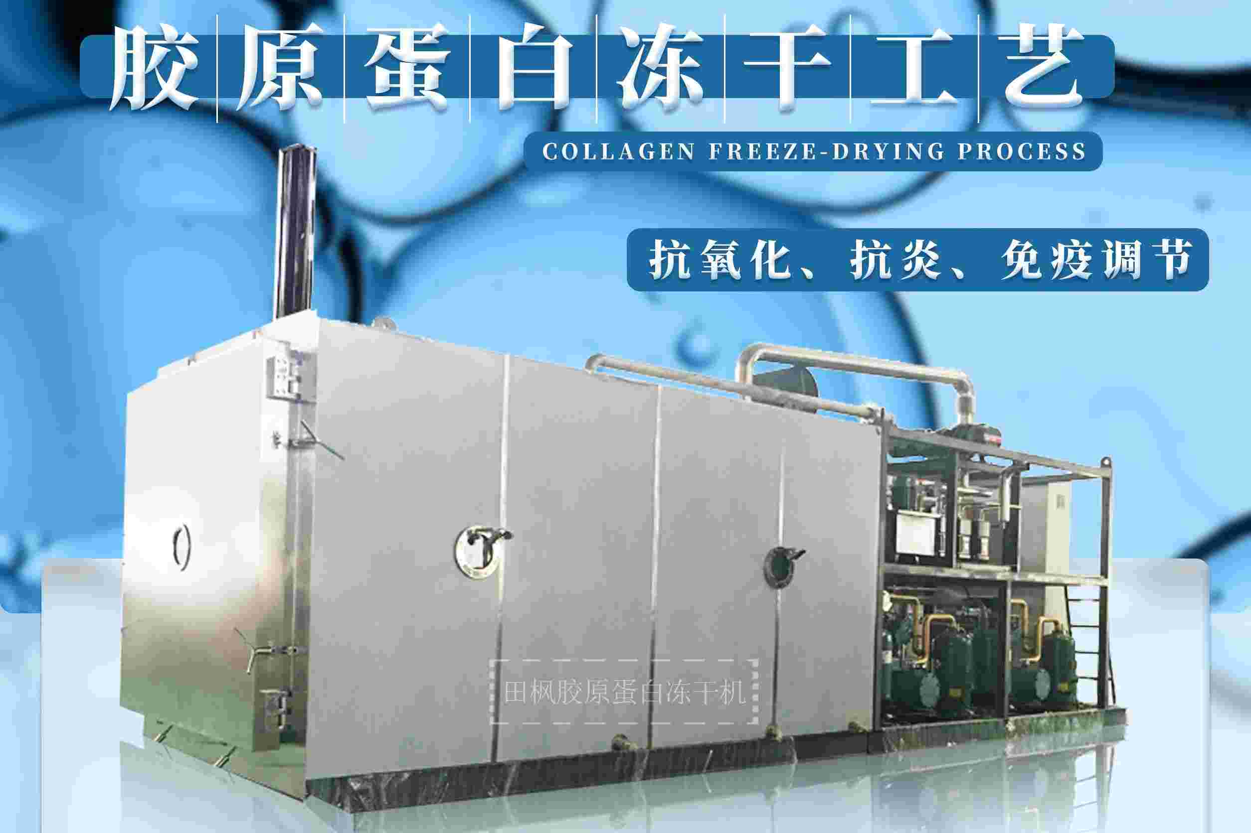 冻干机在生物科学研究中扮演着怎样的角色？