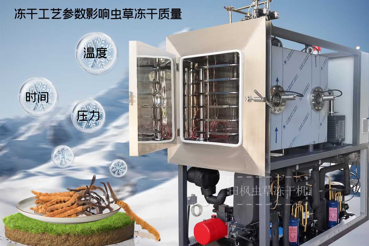 制药用冻干机的技术特点有哪些？