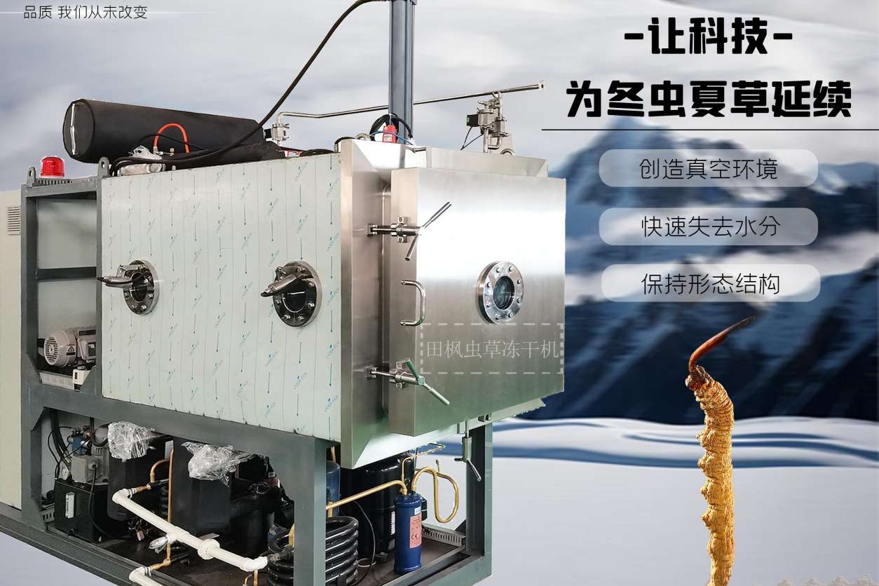 药品冻干机的未来发展趋势是什么？